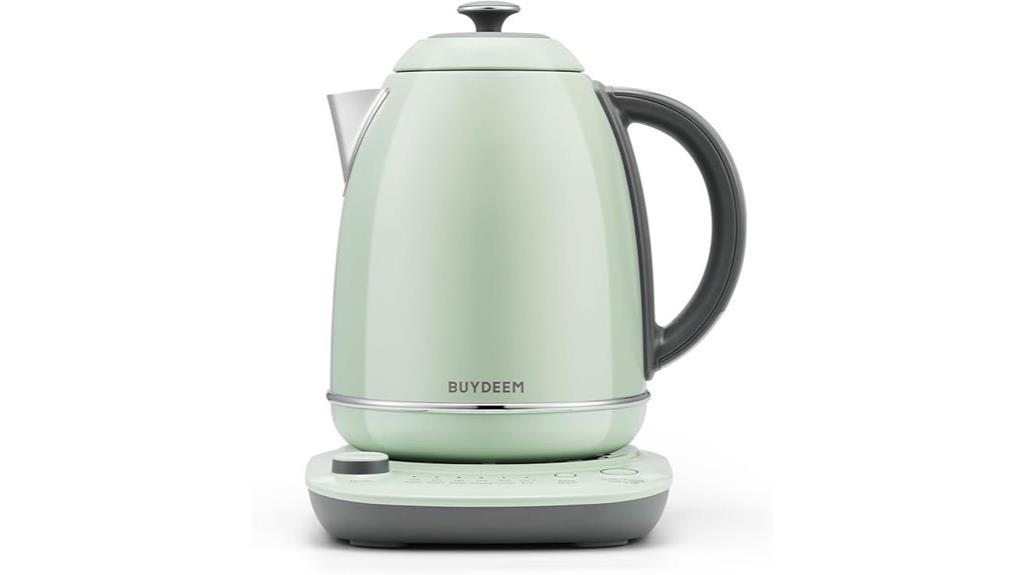 electric kettle with temp control
