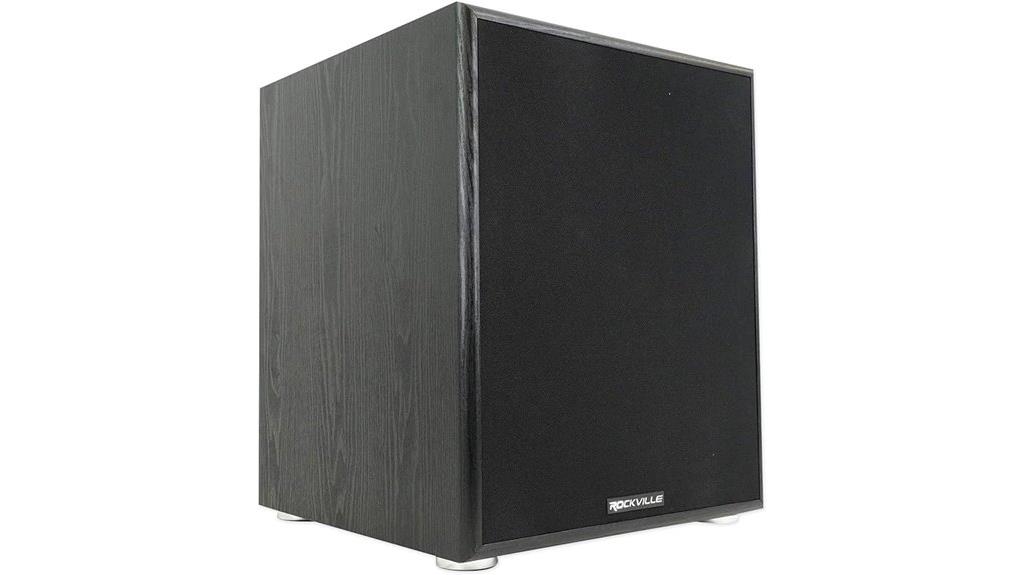 powerful 12 inch subwoofer