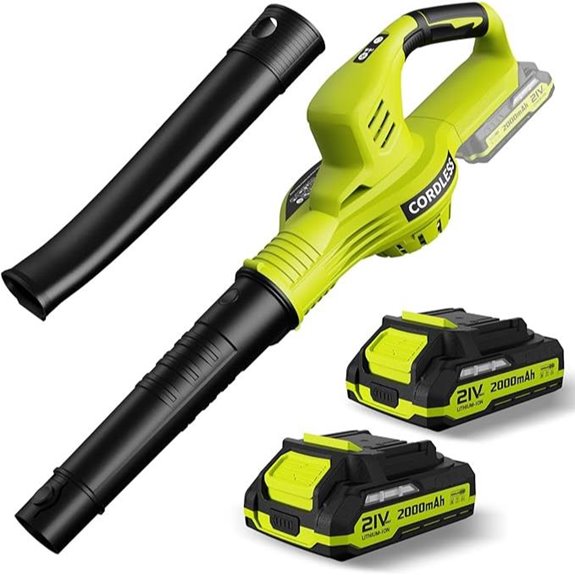 Cordless Leaf Blower 21V with 2 Batteries