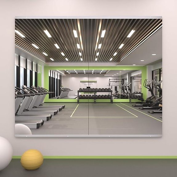 LOAAO Home Gym Mirrors 48x24 Frameless Tempered Glass