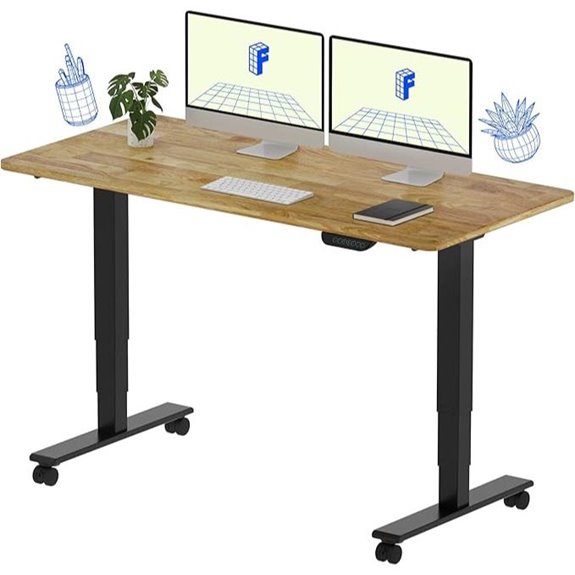 FLEXISPOT E6 MAX Adjustable Standing Desk (55x24)