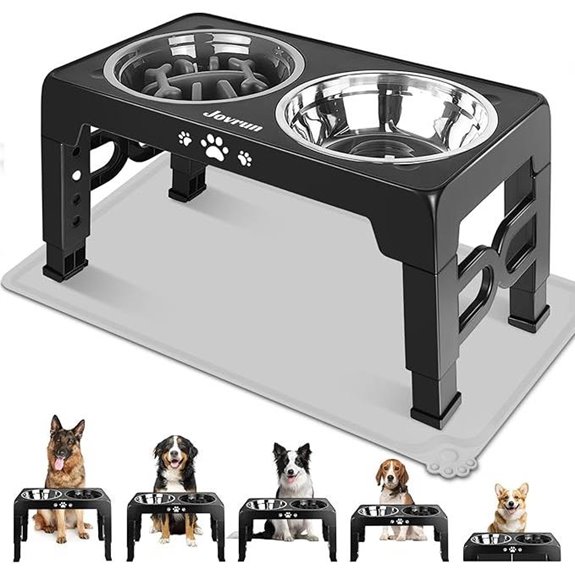 Elevated Dog Bowls with Adjustable Stand and Non-Slip Feet
