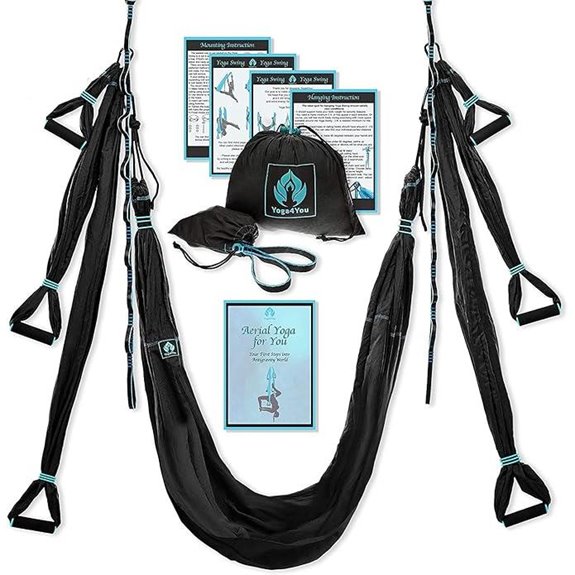 Aerial Yoga Swing Set with Inversion Sling