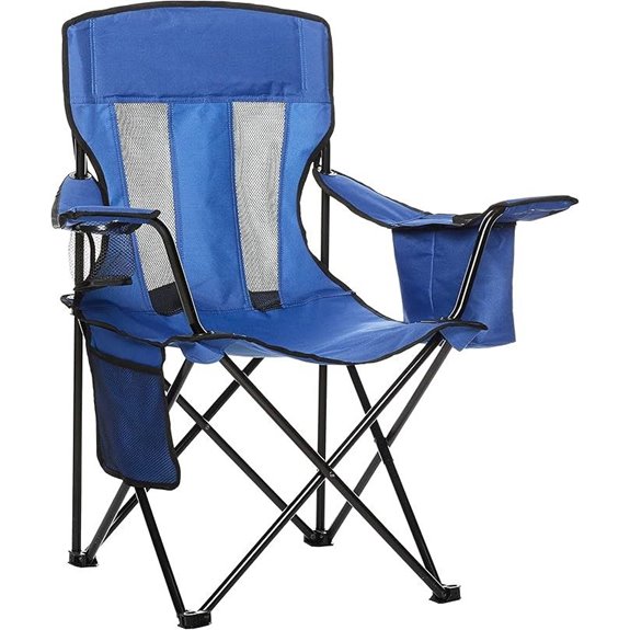 Amazon Basics Camping Chair
