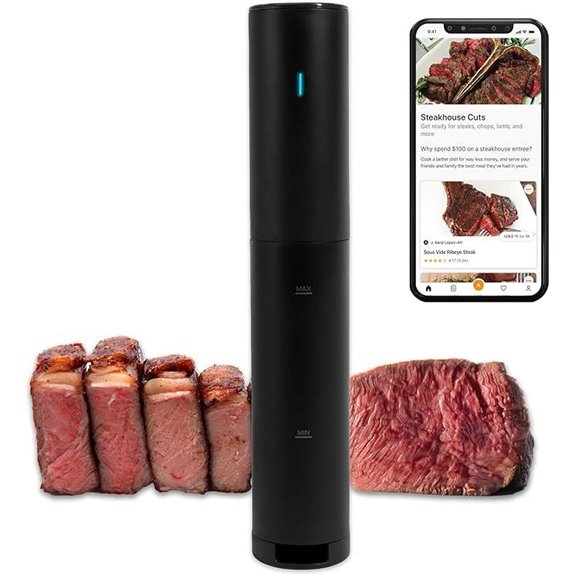 Anova Mini Sous Vide Cooker App Enabled 850W