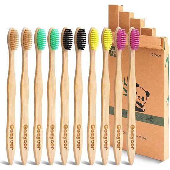 Eco-Friendly Bamboo Toothbrush 10-Pack