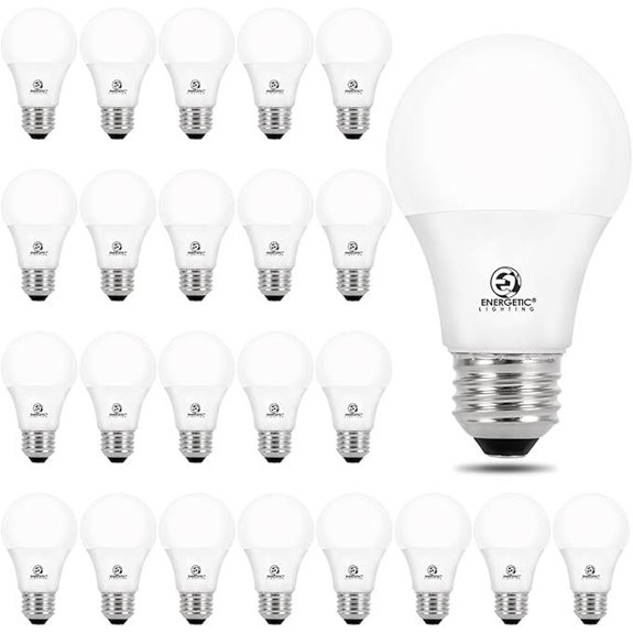 24-Pack A19 LED Light Bulb 60W Equivalent