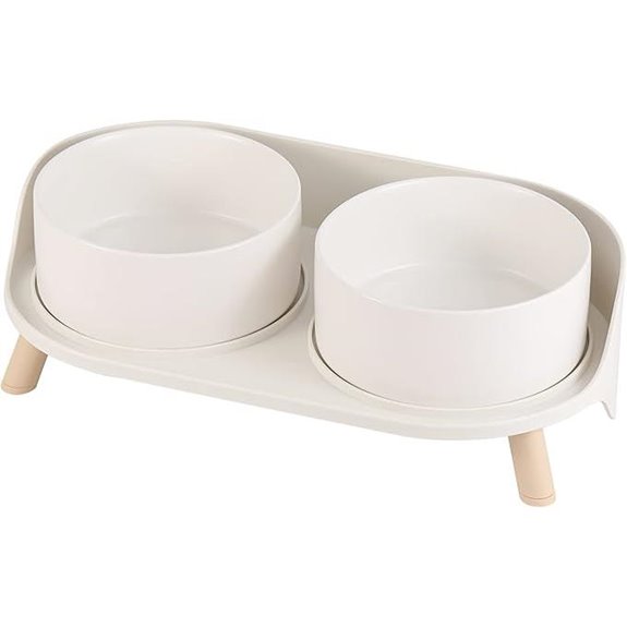 Elevated Ceramic Dog Bowl Set with Stand