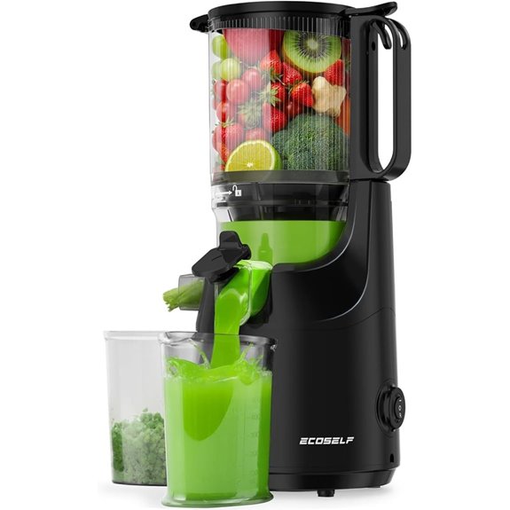 Cold Press Juicer with Mega Mouth Feed Chute