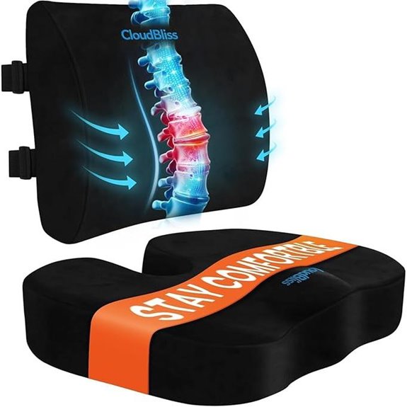 CloudBliss Lumbar Support Office & Car Seat Cushion