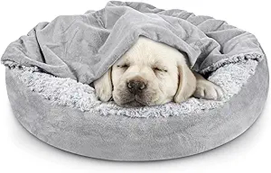 JOEJOY Small Dog & Cat Bed with Hooded Blanket