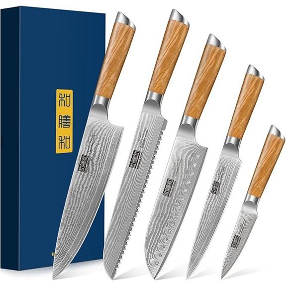 HOSHANHO 5-Piece Damascus Kitchen Knife Set