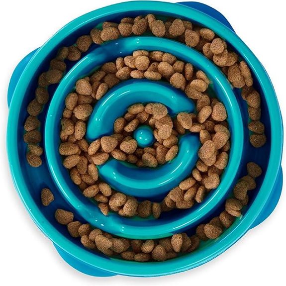 Outward Hound Medium Slow Feeder Bowl for Dogs