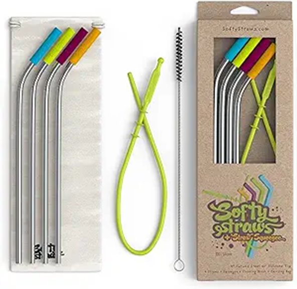 Reusable Stainless Steel Drinking Straws with Cleaners