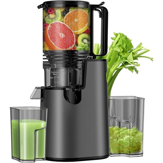 Cold Press Juicer with Wide Feed Chute and High Yield