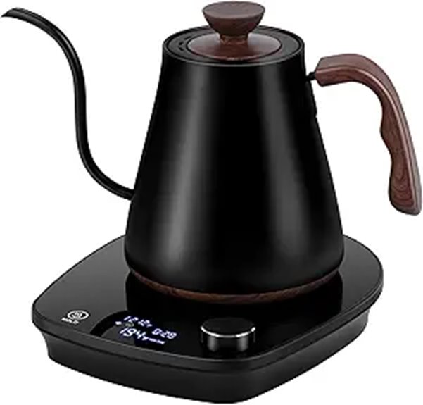 Gooseneck Electric Kettle with Temperature Control