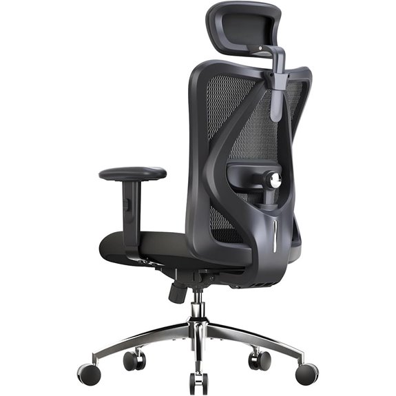 SIHOO M18 Ergonomic Office Chair with Lumbar Support