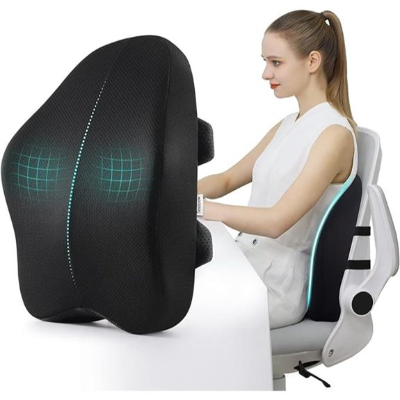 Lumbar Support Pillow for Office and Car Chairs