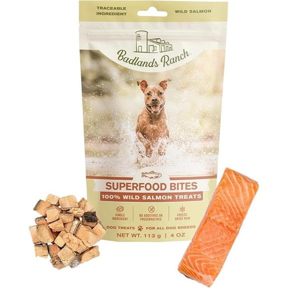 BADLANDS RANCH Freeze-Dried Salmon Dog Treats