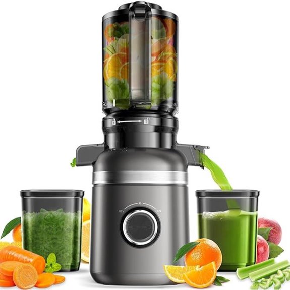 Cold Press Juicer for Fruits & Vegetables