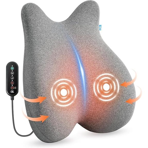 CILI Heated Lumbar Support Pillow with Vibration
