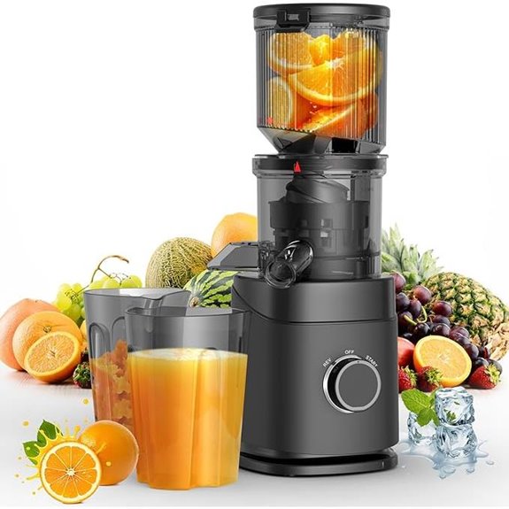 Cold Press Juicer with Wide Chute and High Yield