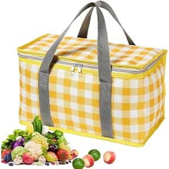 Insulated Picnic Cooler Bag with Zippered Top