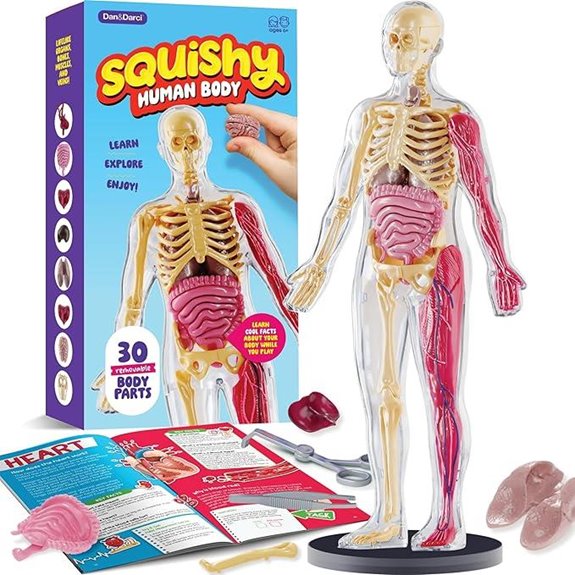 Dan&Darci Human Anatomy Squishy Body Model for Kids