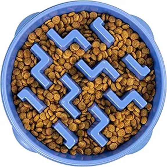 Outward Hound Large Slow Feeder Bowl for Dogs