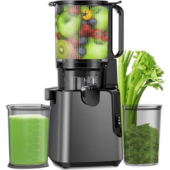 Juicer with Large Feed Chute and High Juice Yield