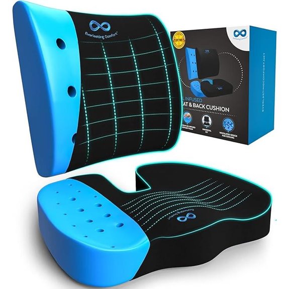 Everlasting Comfort Memory Foam Seat Cushion for Back