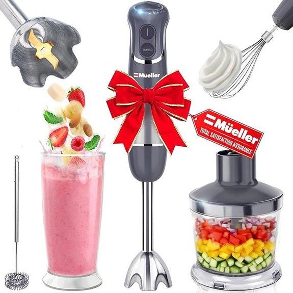 Mueller 5-in-1 Immersion Blender with Accessories