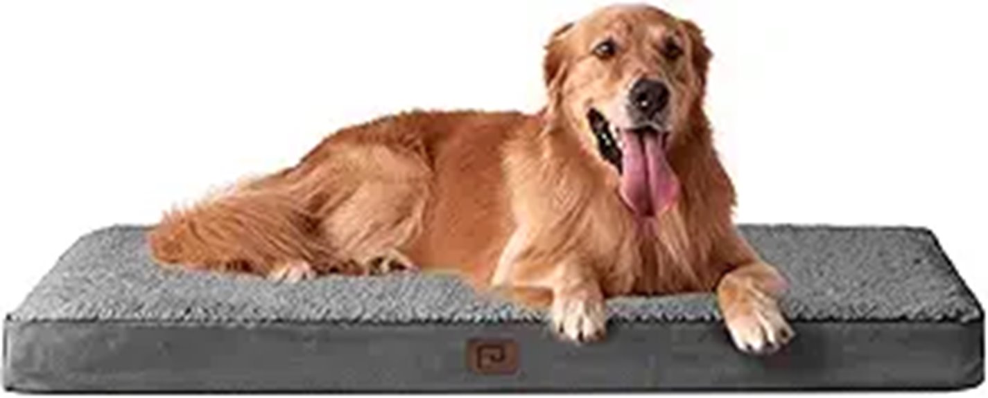 EHEYCIGA XL Orthopedic Dog Bed with Washable Cover