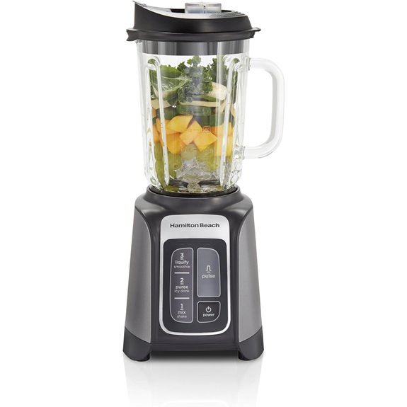 Hamilton Beach PowerMax Professional Blender
