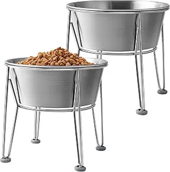Elevated Stainless Steel Dog Bowls for Medium & Small
