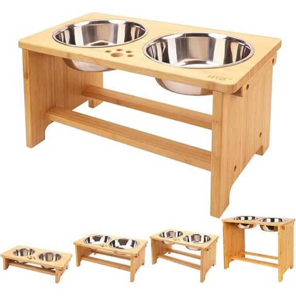 Elevated Dog Bowls with Stand and Stainless Steel Bowls