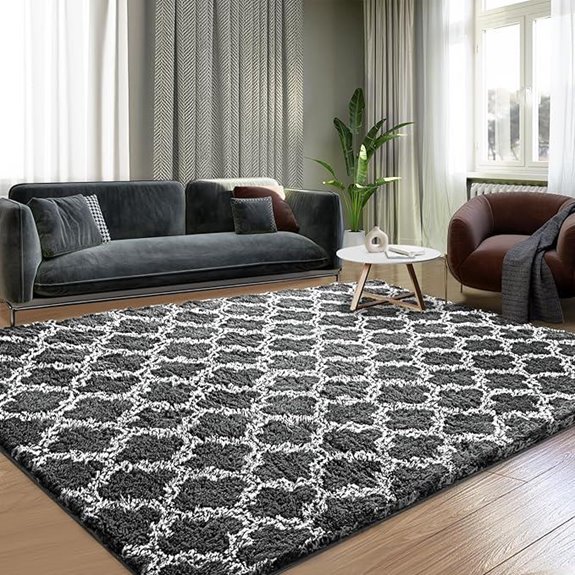 Shag 5x7 Rug for Living Room and Nursery