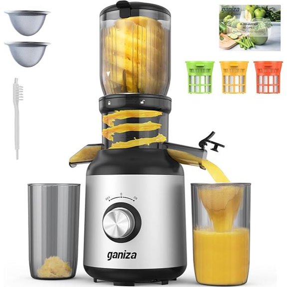 Ganiza Slow Masticating Juicer with Filters