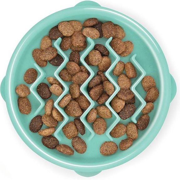 Outward Hound Small Slow Feeder Bowl for Pets