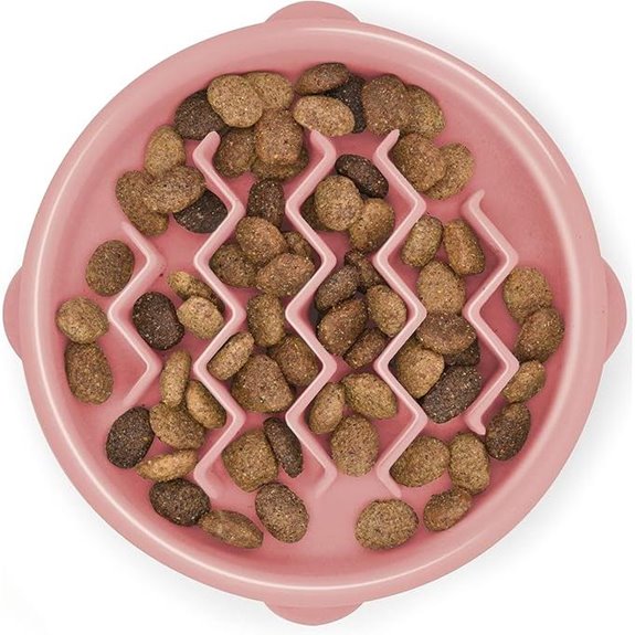 Outward Hound Small Slow Feeder Bowl for Pets