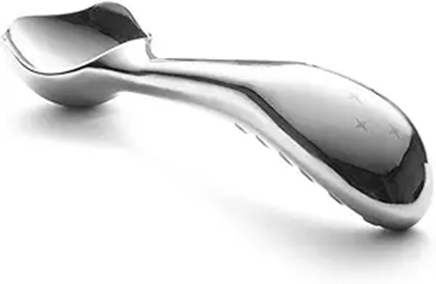 Midnight Scoop Stainless Steel Ice Cream Spoon