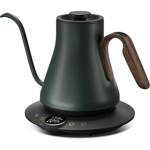 Gooseneck Electric Kettle with Temp Control and Timer