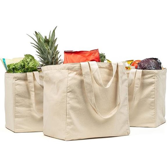 VeraMia Canvas Grocery Bags (3-Pack XL Pockets)