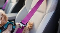 top adjustable pet seatbelts
