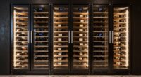 top dual zone wine coolers