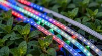 top full spectrum grow lights