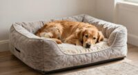 top orthopedic dog beds