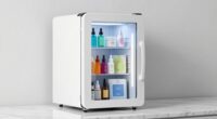top skincare fridge picks