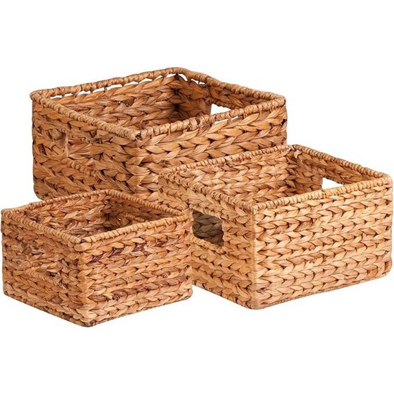 Honey-Can-Do Water Hyacinth Storage Baskets (Set of 3)