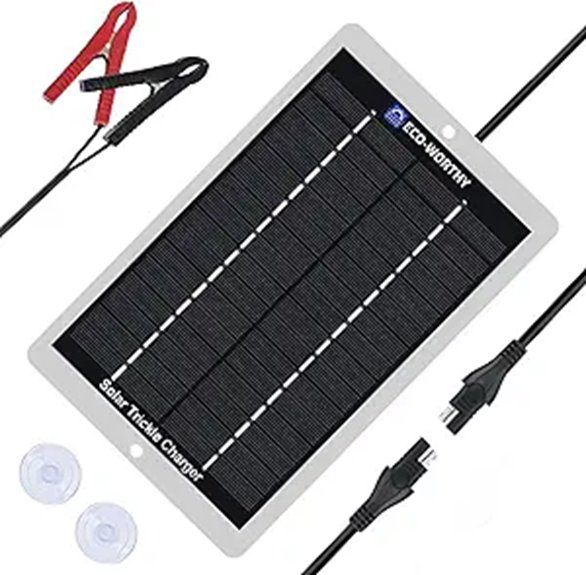 ECO-WORTHY 12V Waterproof Solar Battery Charger